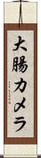 大腸カメラ Scroll