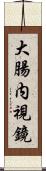 大腸内視鏡 Scroll