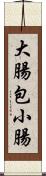 大腸包小腸 Scroll