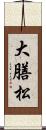 大膳松 Scroll