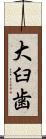大臼歯 Scroll