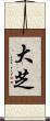 大芝 Scroll