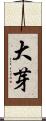 大芽 Scroll
