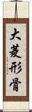 大菱形骨 Scroll