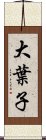 大葉子 Scroll