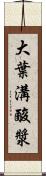 大葉溝酸漿 Scroll