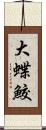 大蝶鮫 Scroll