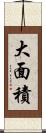 大面積 Scroll