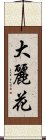 大麗花 Scroll