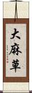 大麻草 Scroll