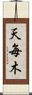天毎木 Scroll
