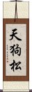 天狗松 Scroll