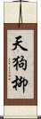 天狗柳 Scroll