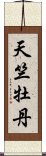 天竺牡丹 Scroll