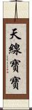 天線寶寶 Scroll