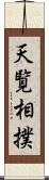 天覧相撲 Scroll