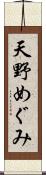 天野めぐみ Scroll