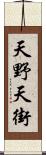 天野天街 Scroll