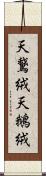 天鵞絨 Scroll