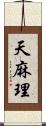 天麻理 Scroll