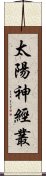 太陽神經叢 Scroll