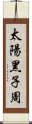 太陽黑子周 Scroll