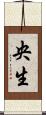 央生 Scroll