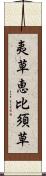 夷草 Scroll