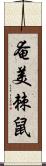 奄美棘鼠 Scroll