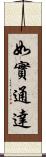 如實通達 Scroll