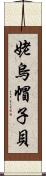 姥烏帽子貝 Scroll