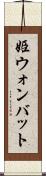 姫ウォンバット Scroll
