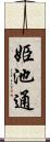 姫池通 Scroll
