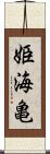 姫海亀 Scroll