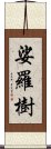 娑羅樹 Scroll