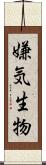 嫌気生物 Scroll