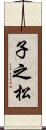 子之松 Scroll