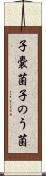 子嚢菌 Scroll
