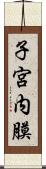 子宮内膜 Scroll