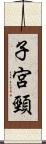 子宮頸 Scroll