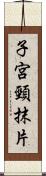 子宮頸抹片 Scroll