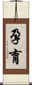 孕育 Scroll