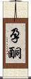 孕酮 Scroll