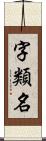 字類名 Scroll