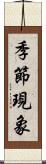 季節現象 Scroll