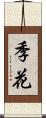 季花 Scroll