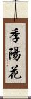 季陽花 Scroll