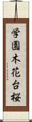 学園木花台桜 Scroll