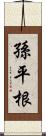 孫平根 Scroll