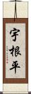 宇根平 Scroll